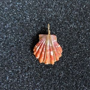 Original Hawaiian Sunrise Shell Pendant